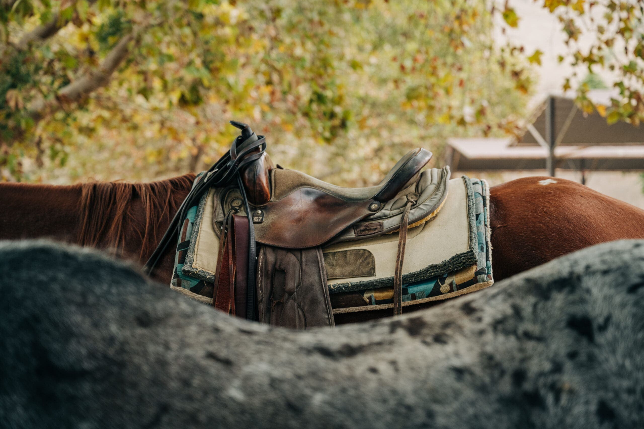 horseback riding Alisal Ranch