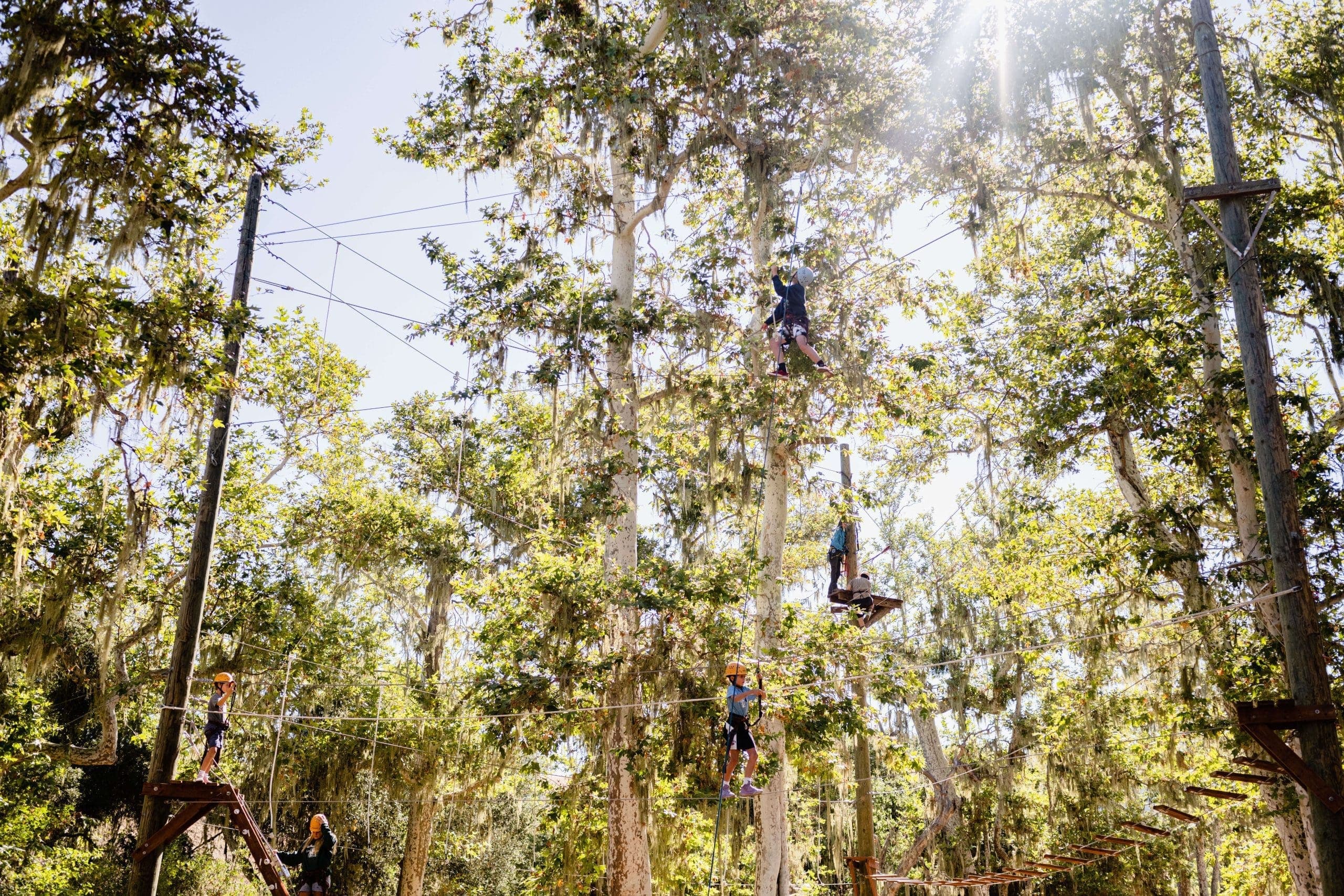 people wearing safety harnesses walking on ropes