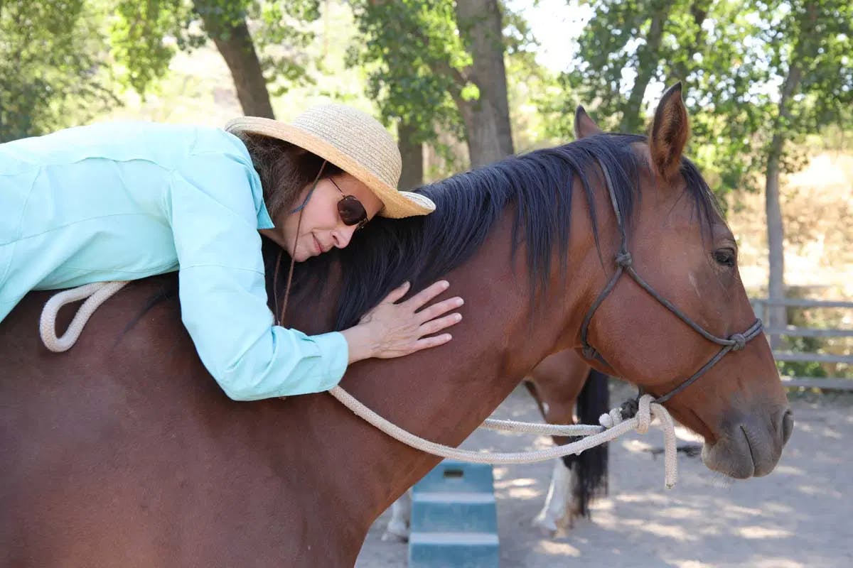person hugging horse