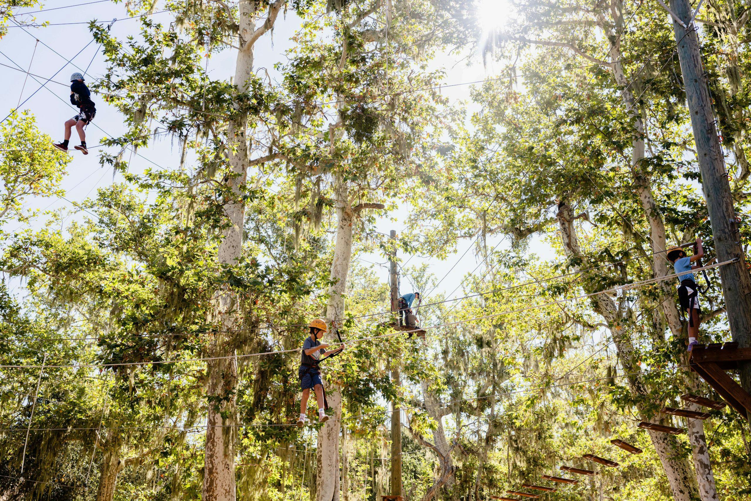 people wearing safety harnesses walking on ropes on the rope course