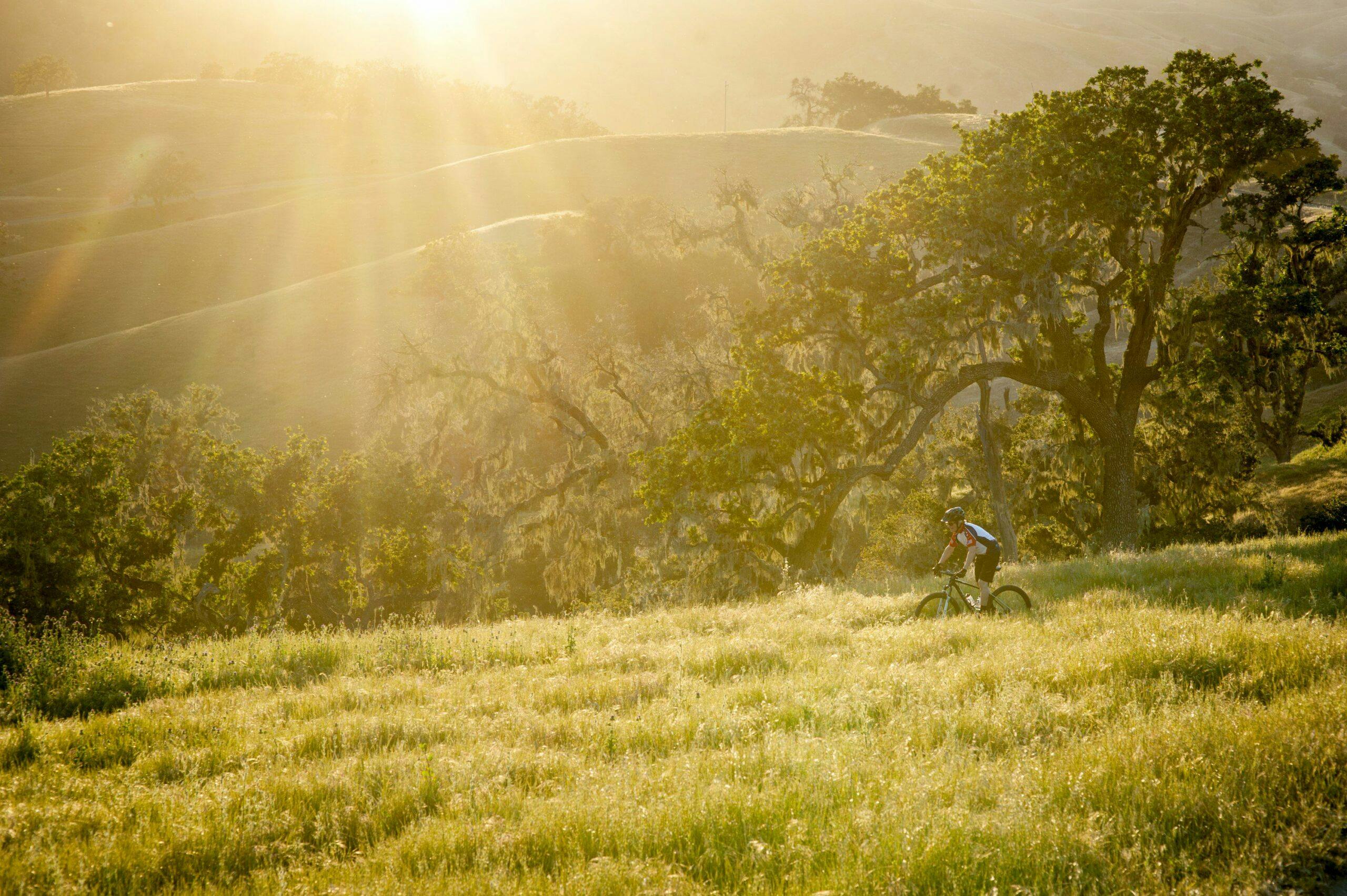 person riding bicycle along the hills