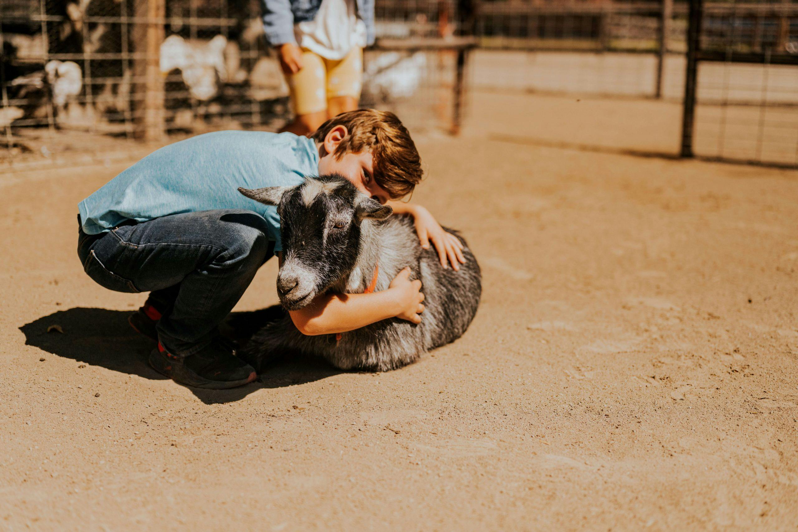 a young person hugging a goat