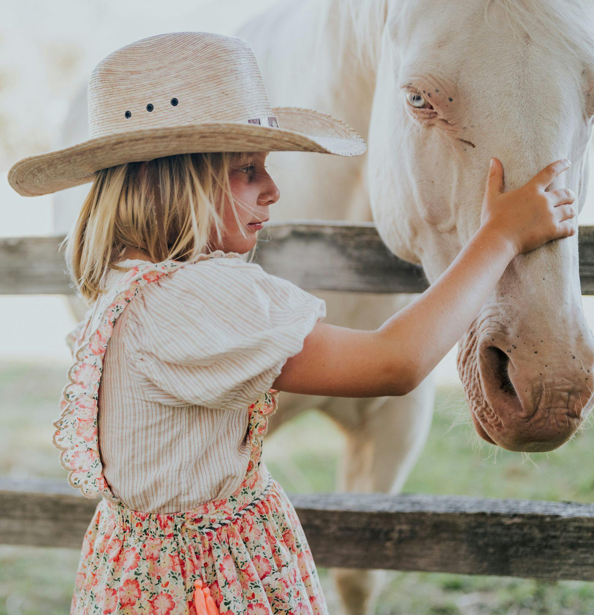 kid petting a horse