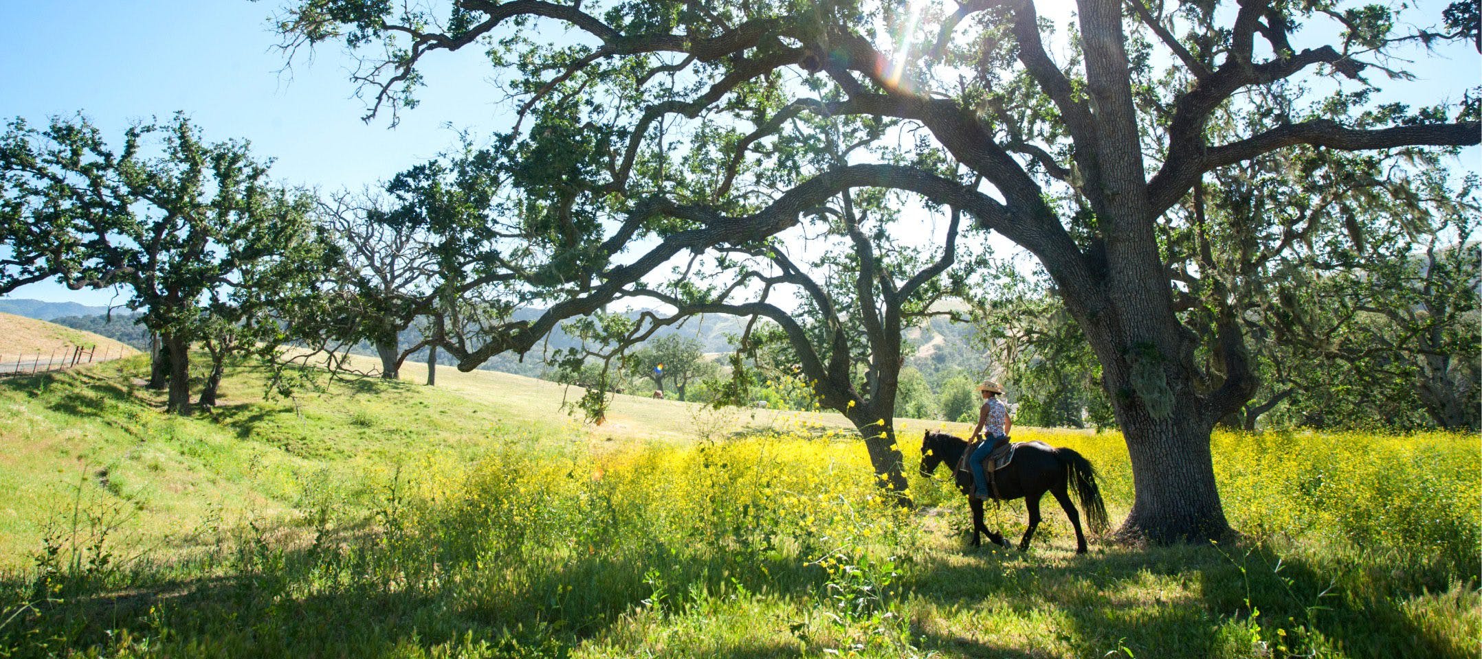 person riding a horse in the beautiful terrain