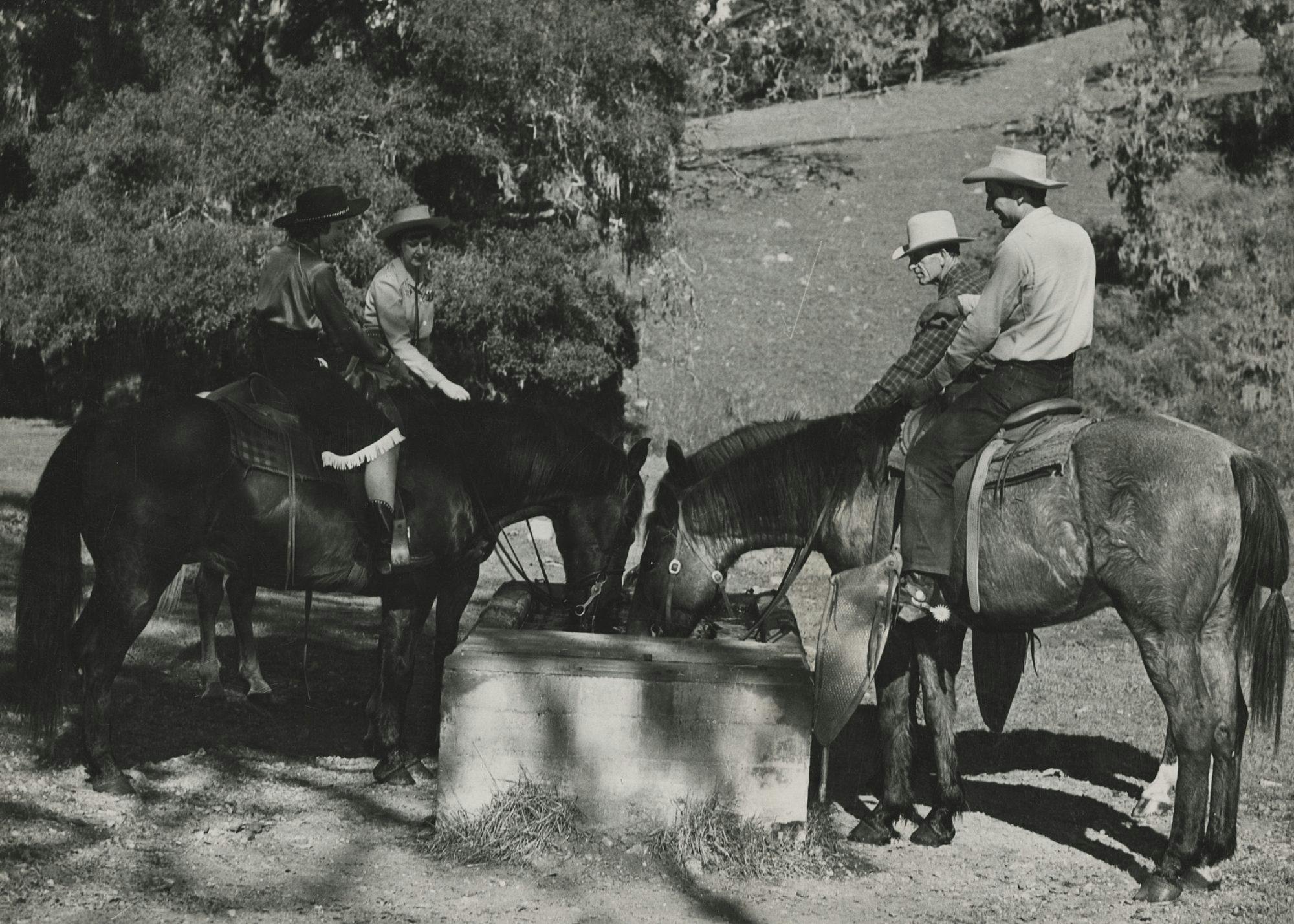 two horses drinking water with people on their backs